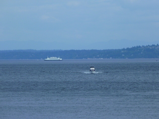 Filename=P1090786.JPG
Filesize=5407KiB
Dimensions=4320x3240
Date added=Sep 06, 2021 P1090786.JPG