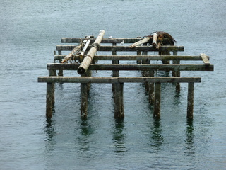 Filename=P1090793.JPG
Filesize=5644KiB
Dimensions=4320x3240
Date added=Sep 06, 2021 P1090793.JPG