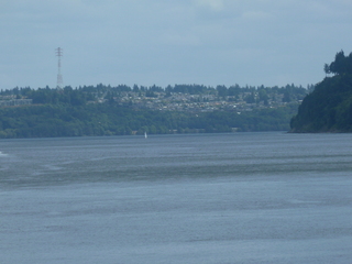 Filename=P1090798.JPG
Filesize=5483KiB
Dimensions=4320x3240
Date added=Sep 06, 2021 P1090798.JPG