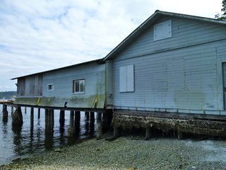 Filename=P1090806.JPG
Filesize=5883KiB
Dimensions=4320x3240
Date added=Sep 06, 2021 P1090806.JPG