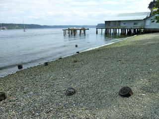 Filename=P1090810.JPG
Filesize=5776KiB
Dimensions=4320x3240
Date added=Sep 06, 2021 P1090810.JPG