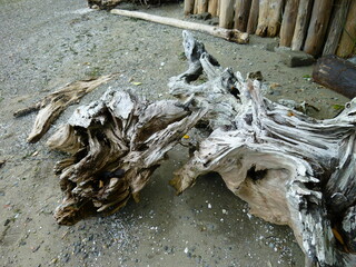 Filename=P1090822.JPG
Filesize=5656KiB
Dimensions=4320x3240
Date added=Sep 06, 2021 P1090822.JPG