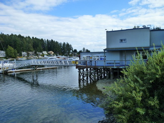 Filename=P1090827.JPG
Filesize=5466KiB
Dimensions=4320x3240
Date added=Sep 06, 2021 P1090827.JPG