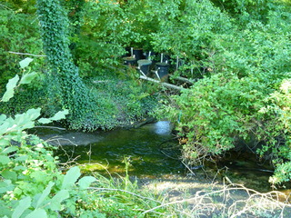 Filename=P1090840.JPG
Filesize=5487KiB
Dimensions=4320x3240
Date added=Sep 06, 2021 P1090840.JPG