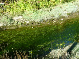 Filename=P1090847.JPG
Filesize=5756KiB
Dimensions=4320x3240
Date added=Sep 06, 2021 P1090847.JPG