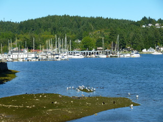 Filename=P1090853.JPG
Filesize=5722KiB
Dimensions=4320x3240
Date added=Sep 06, 2021 P1090853.JPG