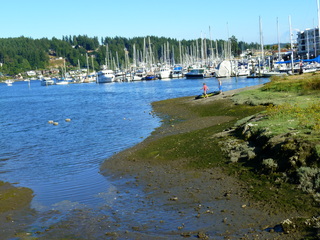 Filename=P1090860.JPG
Filesize=5826KiB
Dimensions=4320x3240
Date added=Sep 06, 2021 P1090860.JPG