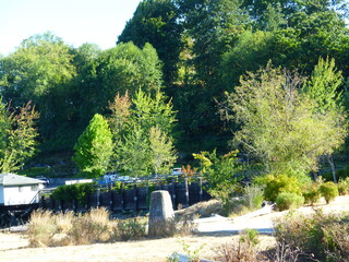 Filename=P1090863.JPG
Filesize=5970KiB
Dimensions=4320x3240
Date added=Sep 06, 2021 P1090863.JPG