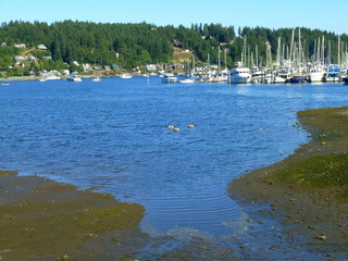 Filename=P1090867.JPG
Filesize=5212KiB
Dimensions=4320x3240
Date added=Sep 06, 2021 P1090867.JPG