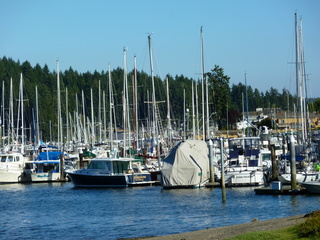 Filename=P1090869.JPG
Filesize=5811KiB
Dimensions=4320x3240
Date added=Sep 06, 2021 P1090869.JPG