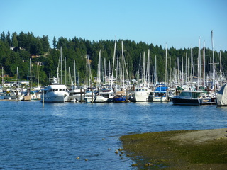 Filename=P1090870.JPG
Filesize=5710KiB
Dimensions=4320x3240
Date added=Sep 06, 2021 P1090870.JPG