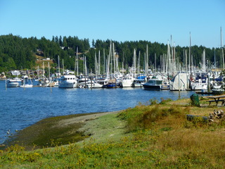 Filename=P1090878.JPG
Filesize=5396KiB
Dimensions=4320x3240
Date added=Sep 06, 2021 P1090878.JPG