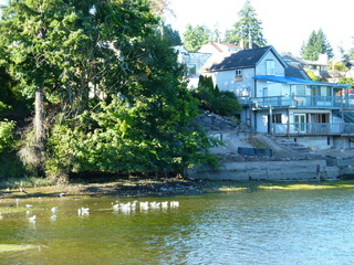 Filename=P1090881.JPG
Filesize=5552KiB
Dimensions=4320x3240
Date added=Sep 06, 2021 P1090881.JPG