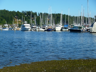 Filename=P1090885.JPG
Filesize=5744KiB
Dimensions=4320x3240
Date added=Sep 06, 2021 P1090885.JPG