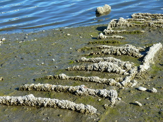 Filename=P1090886.JPG
Filesize=5546KiB
Dimensions=4320x3240
Date added=Sep 06, 2021 P1090886.JPG