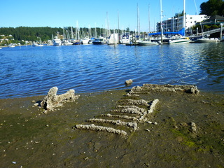 Filename=P1090888.JPG
Filesize=5337KiB
Dimensions=4320x3240
Date added=Sep 06, 2021 P1090888.JPG