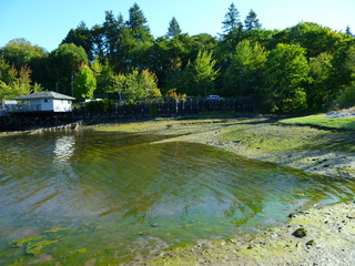 Filename=P1090894.JPG
Filesize=5305KiB
Dimensions=4320x3240
Date added=Sep 06, 2021 P1090894.JPG