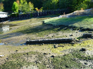 Filename=P1090900.JPG
Filesize=5492KiB
Dimensions=4320x3240
Date added=Sep 06, 2021 P1090900.JPG