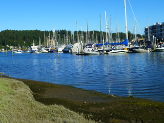 Filename=P1090901.JPG
Filesize=5196KiB
Dimensions=4320x3240
Date added=Sep 06, 2021 P1090901.JPG