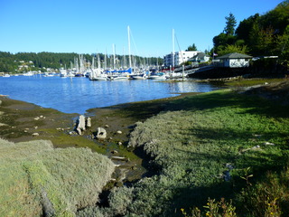 Filename=P1090902.JPG
Filesize=5413KiB
Dimensions=4320x3240
Date added=Sep 06, 2021 P1090902.JPG