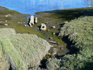 Filename=P1090903.JPG
Filesize=5578KiB
Dimensions=4320x3240
Date added=Sep 06, 2021 P1090903.JPG