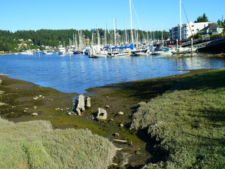 Filename=P1090904.JPG
Filesize=5471KiB
Dimensions=4320x3240
Date added=Sep 06, 2021 P1090904.JPG