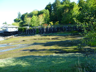 Filename=P1090907.JPG
Filesize=5492KiB
Dimensions=4320x3240
Date added=Sep 06, 2021 P1090907.JPG