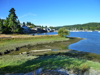 Filename=P1090908.JPG
Filesize=6127KiB
Dimensions=4320x3240
Date added=Sep 06, 2021 P1090908.JPG