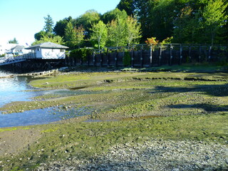 Filename=P1090909.JPG
Filesize=5437KiB
Dimensions=4320x3240
Date added=Sep 06, 2021 P1090909.JPG