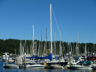 Filename=P1090910.JPG
Filesize=5234KiB
Dimensions=4320x3240
Date added=Sep 06, 2021 P1090910.JPG