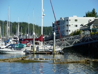 Filename=P1090912.JPG
Filesize=5457KiB
Dimensions=4320x3240
Date added=Sep 06, 2021 P1090912.JPG