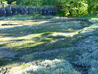 Filename=P1090914.JPG
Filesize=5599KiB
Dimensions=4320x3240
Date added=Sep 06, 2021 P1090914.JPG