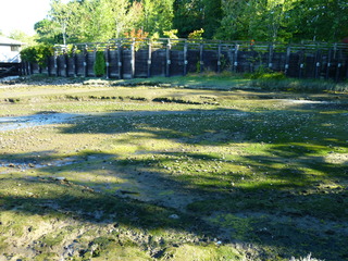 Filename=P1090915.JPG
Filesize=5385KiB
Dimensions=4320x3240
Date added=Sep 06, 2021 P1090915.JPG