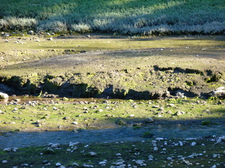 Filename=P1090917.JPG
Filesize=5858KiB
Dimensions=4320x3240
Date added=Sep 06, 2021 P1090917.JPG