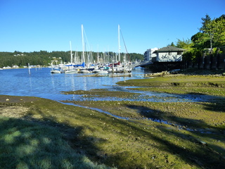 Filename=P1090918.JPG
Filesize=5939KiB
Dimensions=4320x3240
Date added=Sep 06, 2021 P1090918.JPG