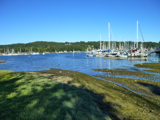 Filename=P1090920.JPG
Filesize=5635KiB
Dimensions=4320x3240
Date added=Sep 06, 2021 P1090920.JPG