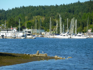 Filename=P1090921.JPG
Filesize=5384KiB
Dimensions=4320x3240
Date added=Sep 06, 2021 P1090921.JPG