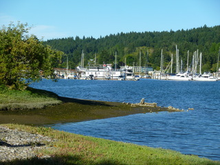 Filename=P1090922.JPG
Filesize=5433KiB
Dimensions=4320x3240
Date added=Sep 06, 2021 P1090922.JPG