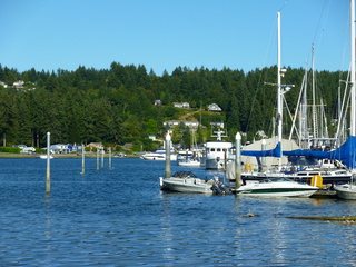 Filename=P1090923.JPG
Filesize=5565KiB
Dimensions=4320x3240
Date added=Sep 06, 2021 P1090923.JPG