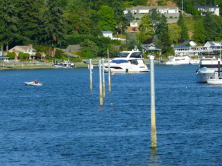 Filename=P1090925.JPG
Filesize=5979KiB
Dimensions=4320x3240
Date added=Sep 06, 2021 P1090925.JPG