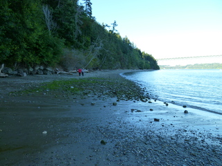 Filename=P1090932.JPG
Filesize=5449KiB
Dimensions=4320x3240
Date added=Sep 06, 2021 P1090932.JPG