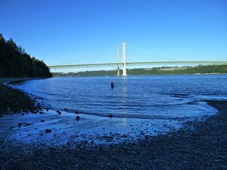 Filename=P1090933.JPG
Filesize=5814KiB
Dimensions=4320x3240
Date added=Sep 06, 2021 P1090933.JPG