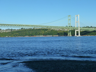 Filename=P1090935.JPG
Filesize=5444KiB
Dimensions=4320x3240
Date added=Sep 06, 2021 P1090935.JPG