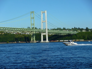 Filename=P1090939.JPG
Filesize=5543KiB
Dimensions=4320x3240
Date added=Sep 06, 2021 P1090939.JPG