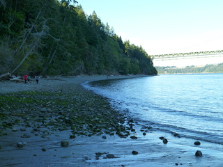 Filename=P1090940.JPG
Filesize=5621KiB
Dimensions=4320x3240
Date added=Sep 06, 2021 P1090940.JPG