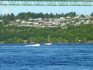 Filename=P1090944.JPG
Filesize=5810KiB
Dimensions=4320x3240
Date added=Sep 06, 2021 P1090944.JPG