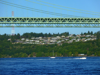 Filename=P1090945.JPG
Filesize=5632KiB
Dimensions=4320x3240
Date added=Sep 06, 2021 P1090945.JPG