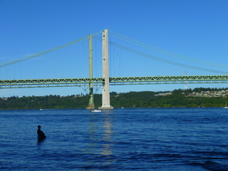 Filename=P1090946.JPG
Filesize=5191KiB
Dimensions=4320x3240
Date added=Sep 06, 2021 P1090946.JPG