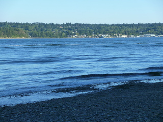 Filename=P1090948.JPG
Filesize=5712KiB
Dimensions=4320x3240
Date added=Sep 06, 2021 P1090948.JPG