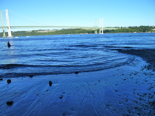 Filename=P1090949.JPG
Filesize=5985KiB
Dimensions=4320x3240
Date added=Sep 06, 2021 P1090949.JPG